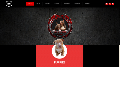 uniquebloodlinebullies.com snapshot