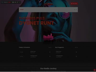 pulsefm.se snapshot
