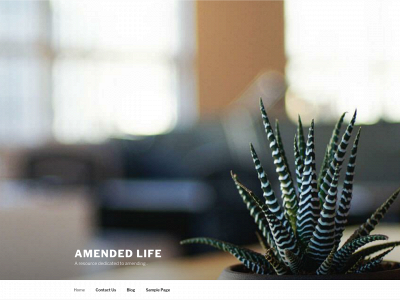 amendedlife.com snapshot