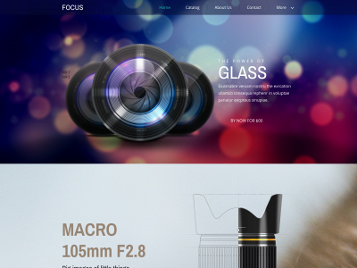 magnusax.one snapshot
