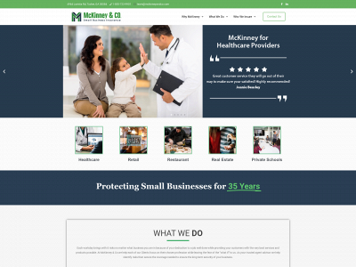 mckinneyandco.com snapshot