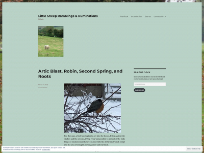 littlesheeprandr.com snapshot