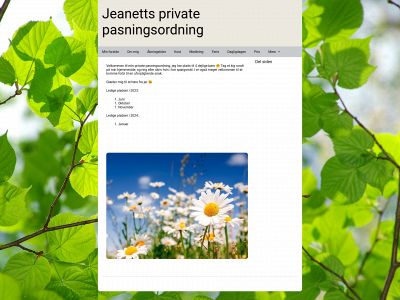 jeanettsprivatepasningsordning.dk snapshot
