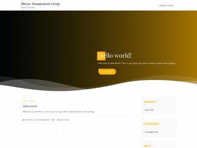 alleynemanagementgroup.com snapshot