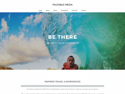 www.palpable-media.com snapshot