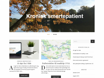 kronisksmertepatient.dk snapshot