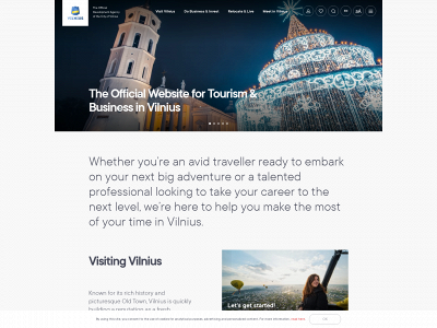 vilniusatmipim.lt snapshot