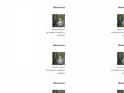 everywhenus.com snapshot