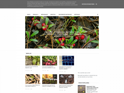 semillamadre.com.mx snapshot
