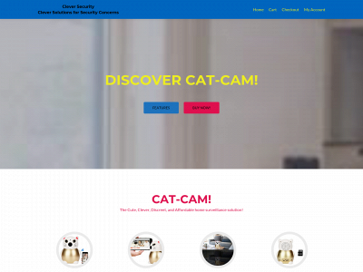 clever-security.com snapshot