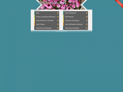 birthdayflowers.org snapshot