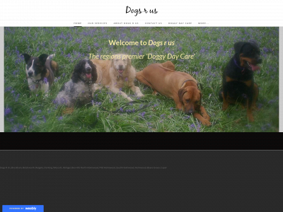 www.dogsrusweb.co.uk snapshot