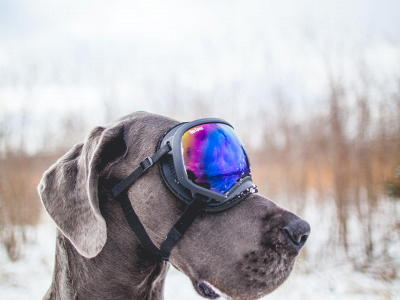 skimore.se snapshot