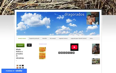 dragorados.weebly.com snapshot