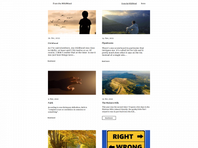 fromthewildwoods.co.uk snapshot