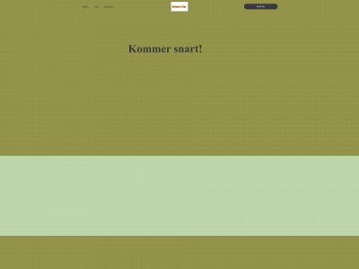 wittenstoj.dk snapshot