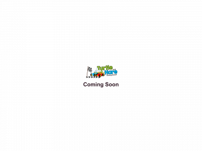 turtleandharedriving.com snapshot