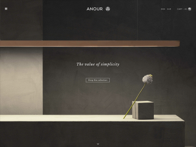 anour.dk snapshot