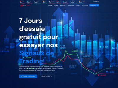 nicetrader.fr snapshot
