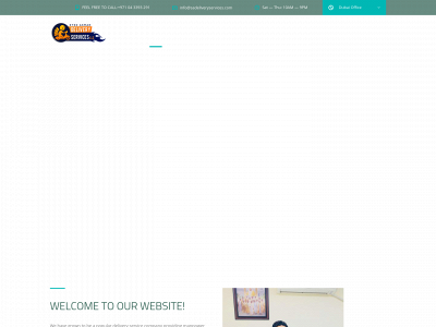 sadeliveryservices.com snapshot