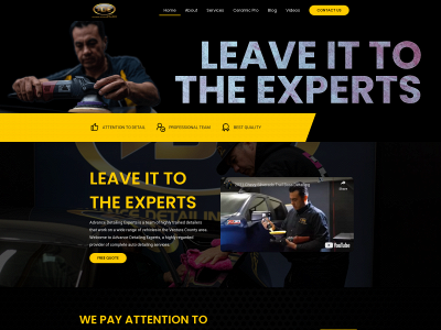 advancedetailingexperts.com snapshot