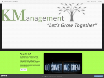 theekm.com snapshot