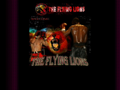 theflyinglions.be snapshot