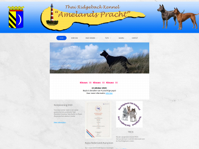thairidgebackameland.nl snapshot