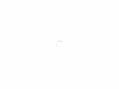 negisign.com snapshot
