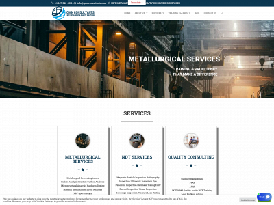 qmnconsultants.com snapshot