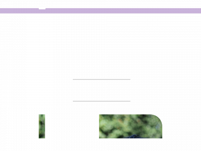 lachlama.de snapshot
