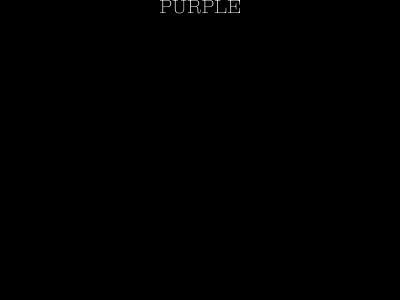 purplepr.com snapshot