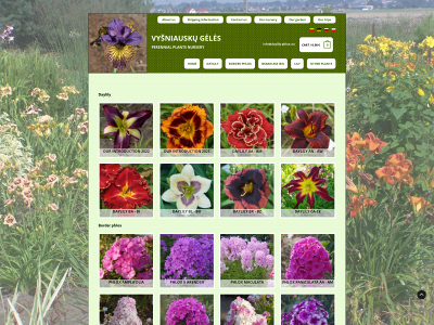 daylily-phlox.eu snapshot