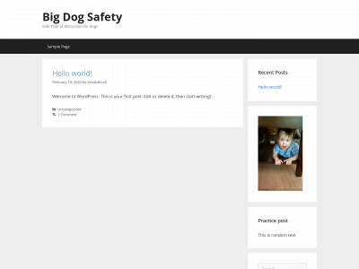 bigdogsafety.com snapshot