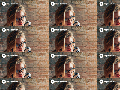 salonwillemina.nl snapshot