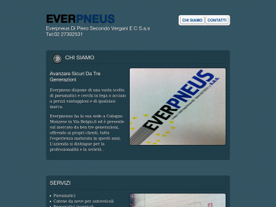 everpneus.com snapshot
