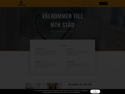 mtnstad.se snapshot