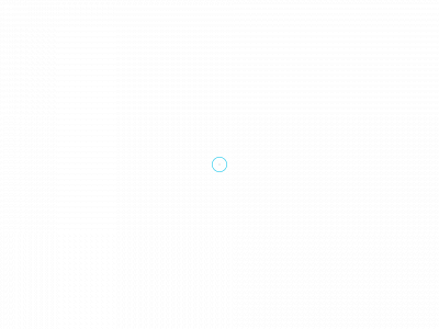 blimousine.ca snapshot