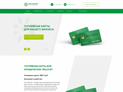 bfsgroup.lt snapshot