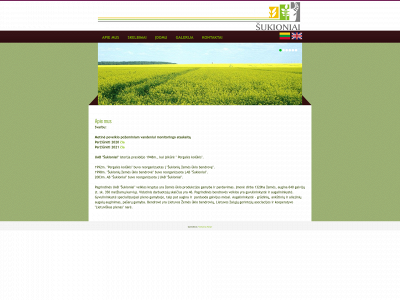 sukioniai.lt snapshot
