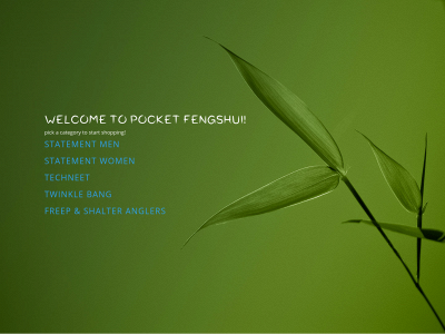 pocketfengshui.com snapshot