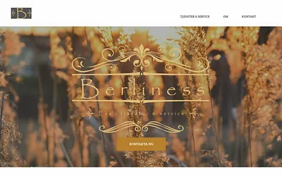 berliness.se snapshot