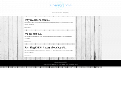 surviving4boys.com snapshot