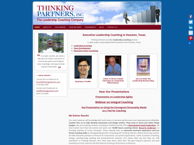 thinkingpartners.com snapshot
