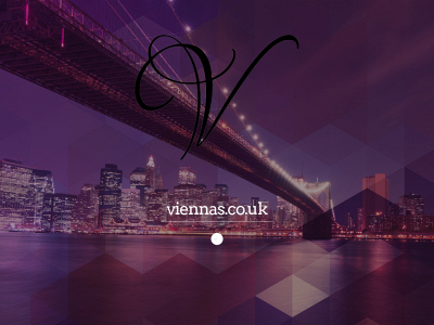 viennas.co.uk snapshot