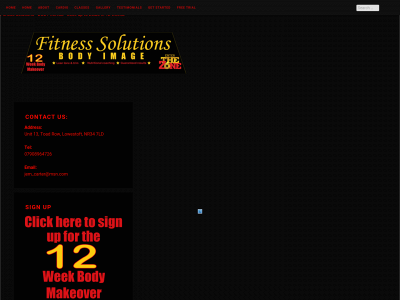 fitnesssolutions.co snapshot