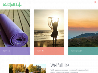 wellfulllife.com snapshot