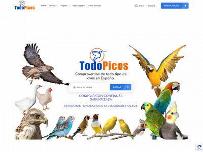todopicos.es snapshot
