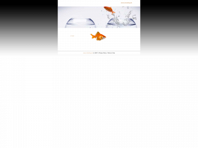 icholding.dk snapshot
