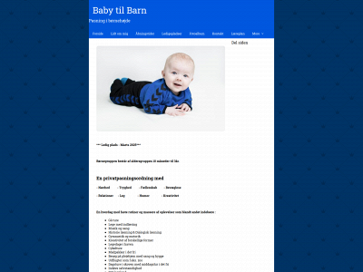 babytilbarn.dk snapshot